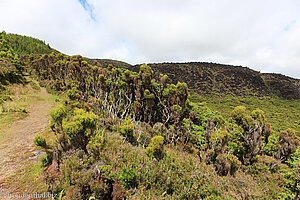 Wanderweg entlang der Mistério dos Negros