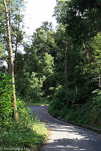 Rückweg vom Salto do Cabrito