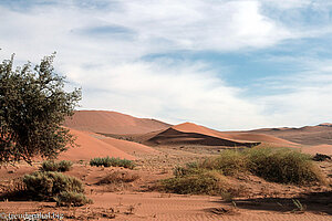 Dünenlandschaft von Sossusvlei