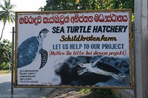 Schildkrötenfarm in Habaraduwa