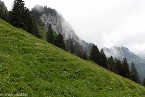 Hang auf der Alp Soll