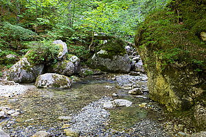 unterer Bereich der Reichenbachklamm