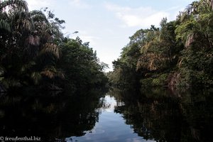 Tortuguero-Kanal nahe der Turtle-Beach-Lodge