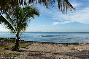 beim Strand von Playa Larga