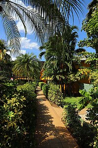 Im Garten des Hotel Mangaby