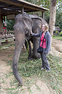 Anne im Elephant Village Sanctuary & Resort