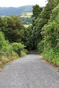 Straße vom Aussichtspunkt Pico da Milho nach Furnas