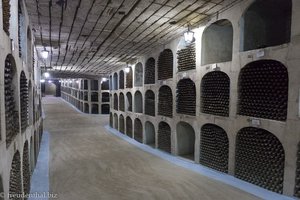 Flaschenlager des Weinguts Milestii Mici