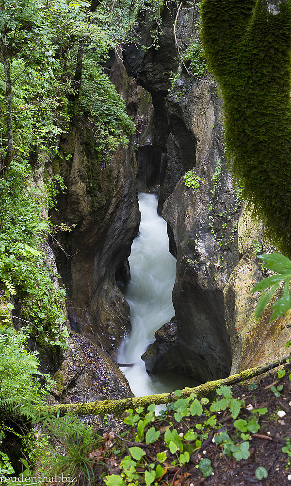 Blick in die Mastnica Schlucht