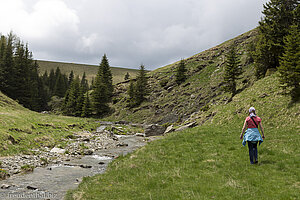 Anne beim Bach des Izvorul Dorului Tals