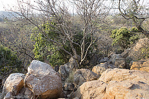 bei der Einsturzstelle der Familie Oosthuizen bei Carletonville