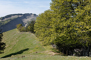 Wanderung vom Spicher zum Ofenloch