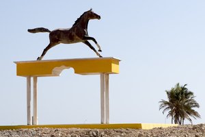 Pferd am Ortsrand von Mirbat im Oman