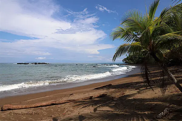 Am Palmenstrand des Parque Nacional Corcovado