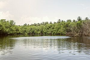 Laguna Redonda