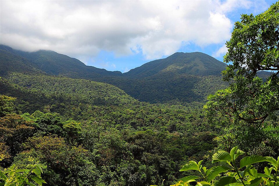 Aussichtspunkt mit Blick auf den wolkenverhangenen Volcán Tenorio in Costa Rica