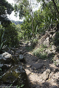 Wanderweg Sentier Dassy