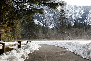 Spazierweg beim Camp 4 im Yosemite Nationalpark