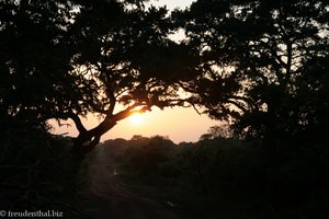 Sonnenuntergang im Nationalpark Yala West