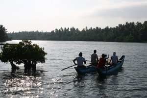 Doppelruderer am Koggala Lake