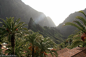 Blick über Masca zum diesigen Meer