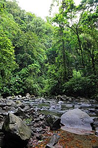 Der ruhige Río Fortuna kurz nach dem Wasserfall