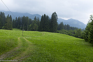 Bergwiese unterhalb des Sonnenkopfs