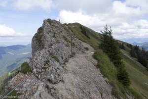 Alpiner Weg auf dem Hochgrat