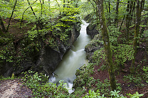 Ausgewaschene Kolke in der tiefen Klamm