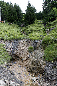 Alpenbächle am Rigi