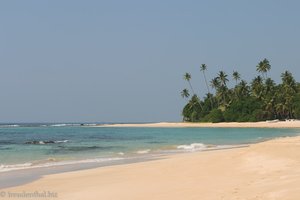 Indik, Strand und Palmen im Süden von Sri Lanka