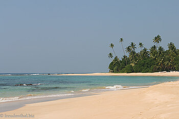 Indik, Strand und Palmen im Süden von Sri Lanka