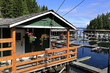 herrliche Holzhäuser bei Telegraph Cove