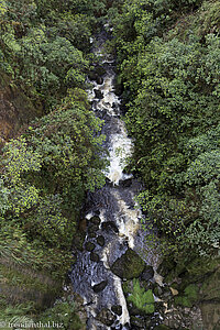 auf einer Brücke im Puracé Nationalpark