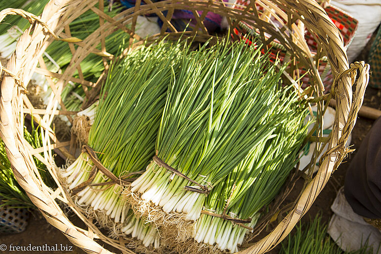Frühlingszwiebeln beim Fünf-Tage-Markt am Inle-See