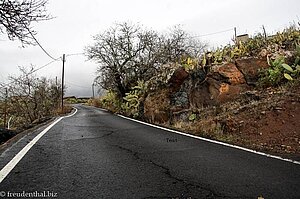 Straße nach El Jaral