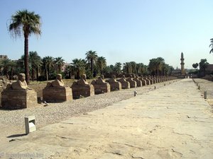 Sphinghen-Allee nach Karnak