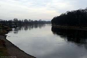 Elbe bei Pillnitz