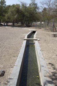 Typische Bewässerungssystem der Omanis, das sogenannte Faladsch.