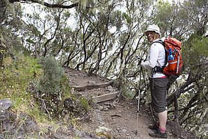 Anne auf dem Weg zum Piton des Neiges