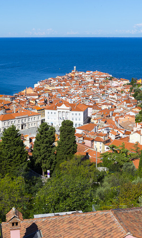 iran | Das Idyll an der slowenischen Adriaküste