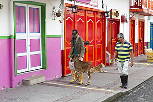 Bauern mit Kalb in den Gassen von Salento.