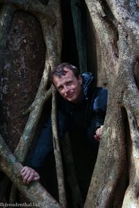 Lars inmitten eines Baumgewirrs