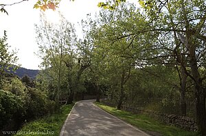 Wanderweg ab dem Kloster Lluc (auf der rechten Seite)