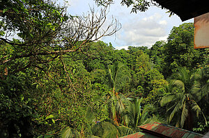 Península de Osa - eine entlegene Region Costa Ricas