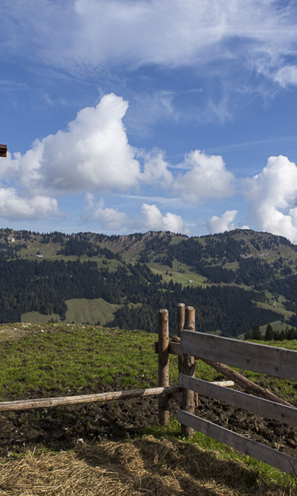 Gipfelkreuz auf dem Gelbhansekopf