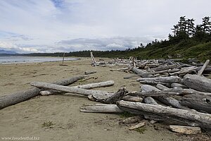 Treibholz am South Beach - Pacific Rim Nationalpark