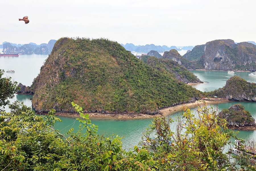 Aussicht zur Nachbarinsel Đảo Dầm Nam von Ti Top Island