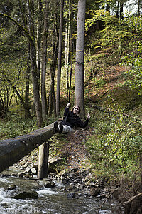 Seilbahn Hausbach