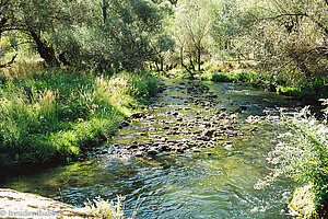 Fluss Ihlara im Talgrund der Ihlara-Schlucht